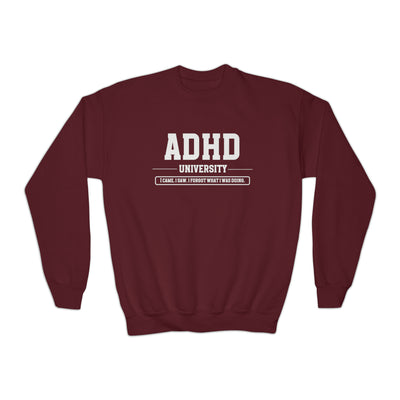 Kids ADHD University I Came. I Saw. I Forgot What I Was Doing. Sweatshirt