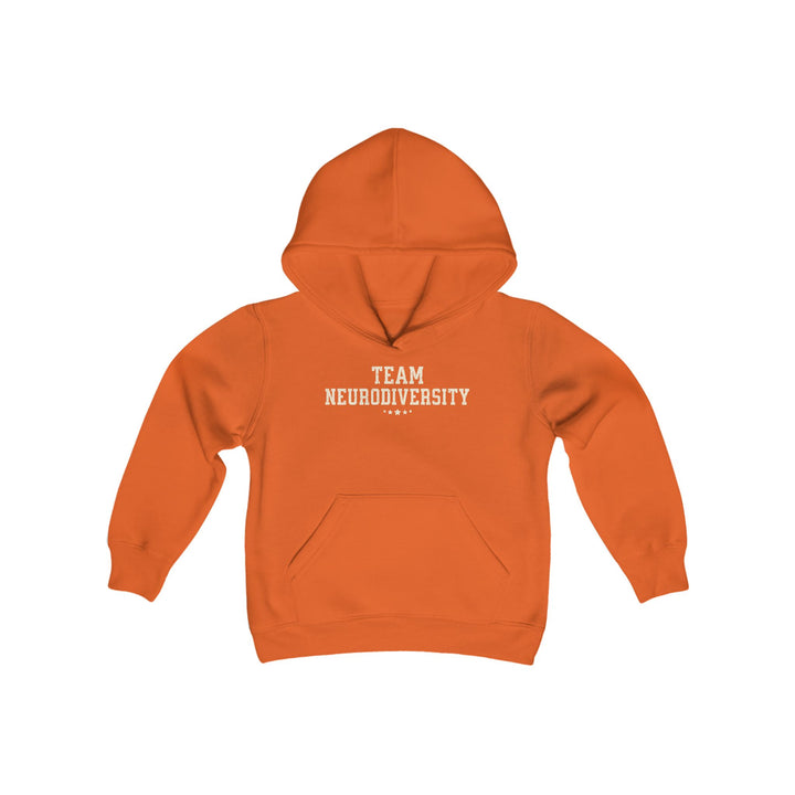 Kids Team Neurodiversity Distressed Hoodie Sweatshirt